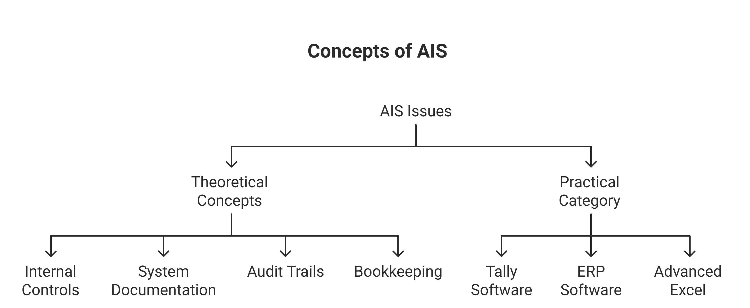 theoretical and practical issues of AIS